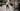 Athleisure Outfits for Petite Women featuring a woman in stylish athleisure wear walking on the street
