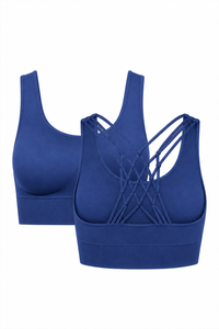 31509-2-VINTAGE INDIGO / ATMOSPHERE