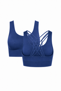 31509-2-VINTAGE INDIGO / WHITE