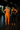 32678-2-APRICOT NECTAR  / BLACK