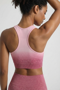 SoftTouch Ombre Bra Apparel & Accessories > Activewear > Sports Bras by Profit Outfits
