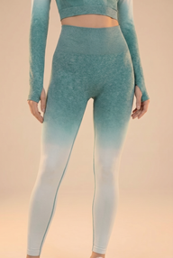 SoftTouch Ombre Legging in Green/White