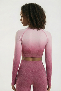 SoftTouch Ombre Long Sleeve Crop Top Apparel & Accessories > Activewear > Tops by Profit Outfits