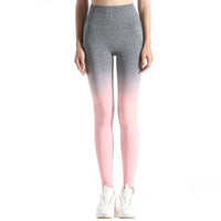 Soft Touch Ombre Legging  by Profit Outfits