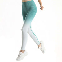 Soft Touch Ombre Legging  by Profit Outfits