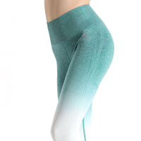 Soft Touch Ombre Legging  by Profit Outfits
