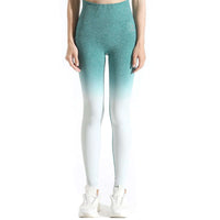 Soft Touch Ombre Legging  by Profit Outfits