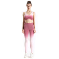 Soft Touch Ombre Sports Bra  by Profit Outfits