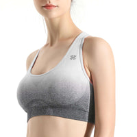 Soft Touch Ombre Sports Bra  by Profit Outfits