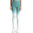 Pro-Fit Soft Touch Ombre Legging - Profit Outfits