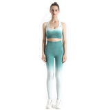 Pro-Fit Soft Touch Ombre Sports Bra - Profit Outfits