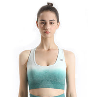 Pro-Fit Soft Touch Ombre Sports Bra - Profit Outfits