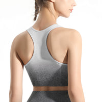 Pro-Fit Soft Touch Ombre Sports Bra - Profit Outfits