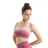 Pro-Fit Soft Touch Ombre Sports Bra - Profit Outfits